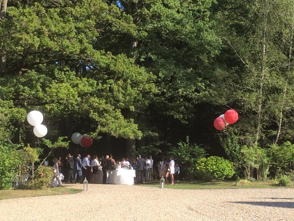 Invités réunis dans le parc du domaine